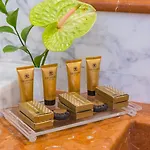 Grand Majestic Gia' Baglioni 5* Bologna